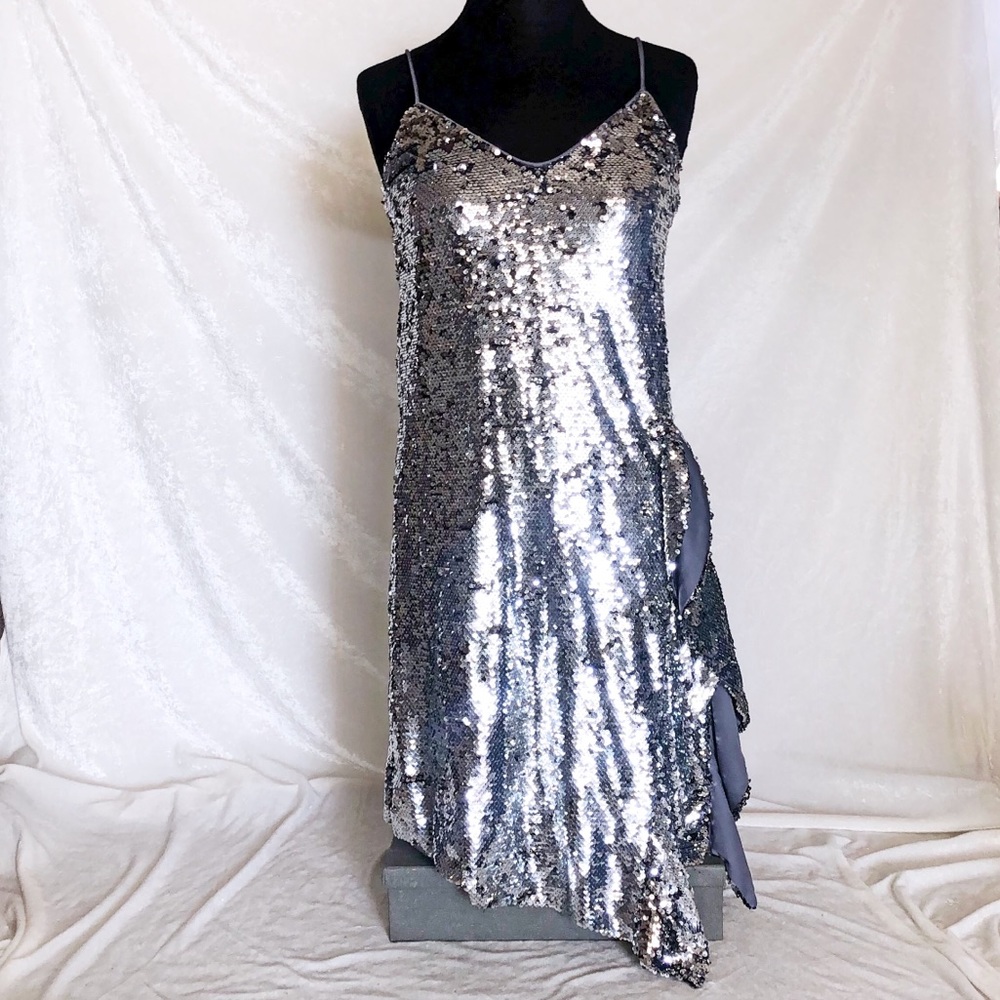 NWOT.  Silver Sequin Dress